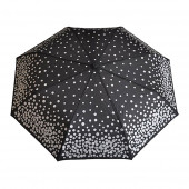 Parapluie noir, pièces dargent