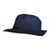 Chapeau Trilby, Bleu