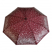 Parapluie bordeaux, pièces dargent
