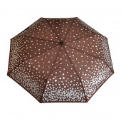 Parapluie marron, pièces d'argent