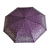 Parapluie violet, pièces dargent